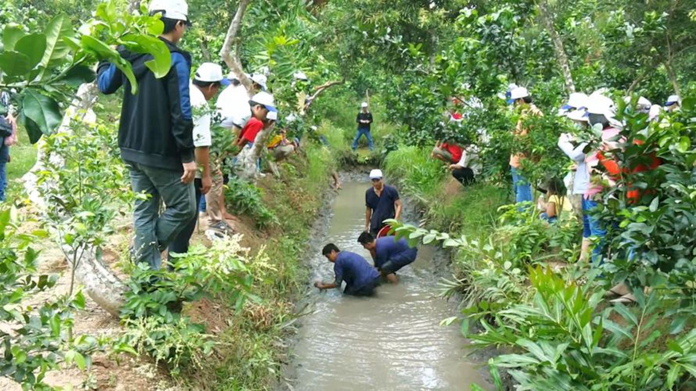 Learn Dong Thap’s heritage with expert insights