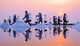 Dive into the verdant charm of Ca Mau Travel