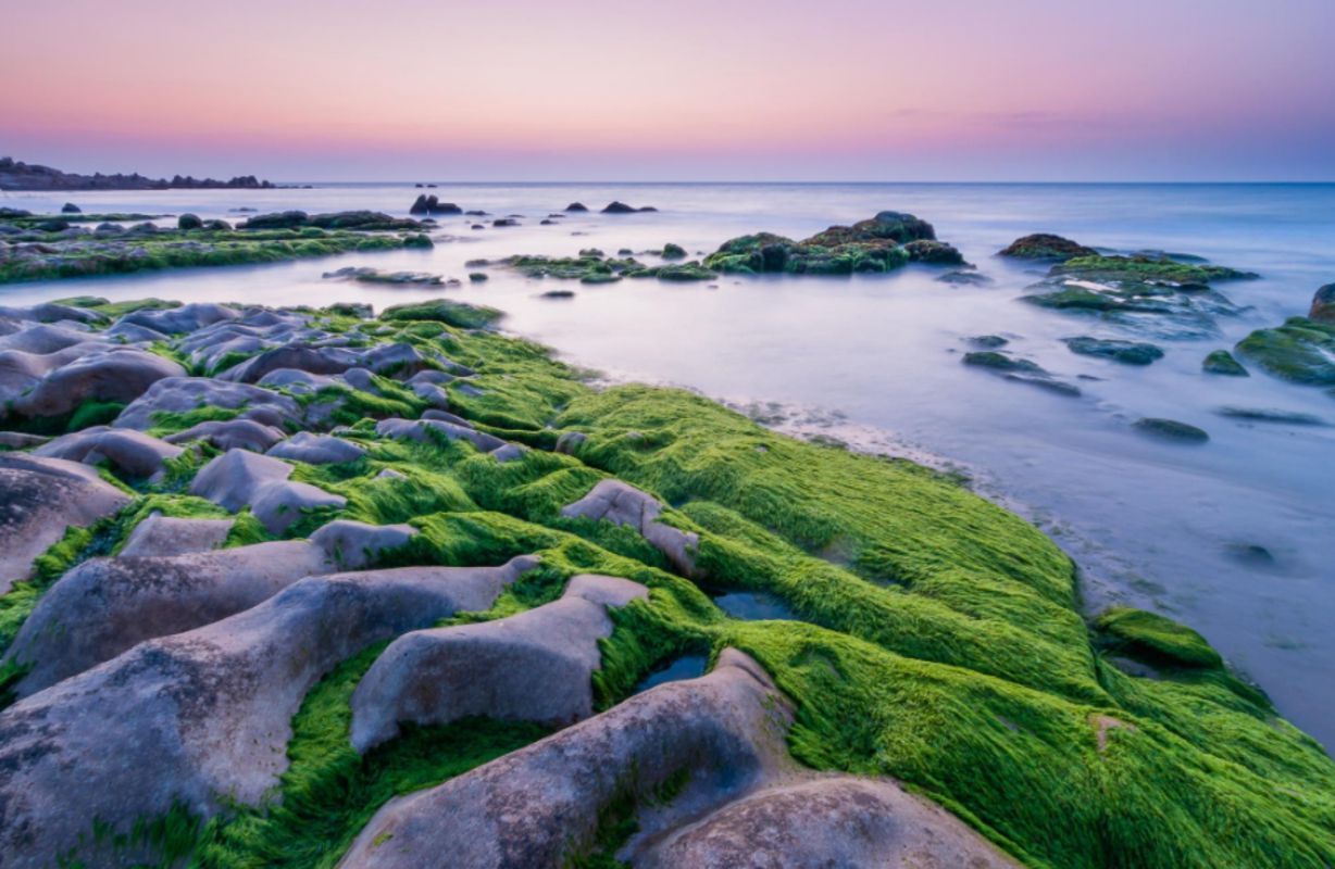 Co Thach Beach