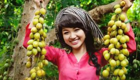 Dive into the natural charm of Tra Vinh Travel