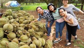 Experience Tien Giang Tours with sustainable adventures