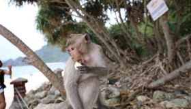 Dive into the adventurous vibe of Cat Ba Travel