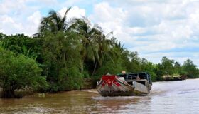 Capture the vibrant essence of Vinh Long’s dry season gem