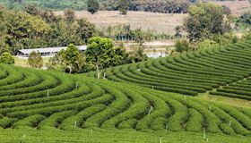 Dive into the tranquil charm of Nghe An Travel