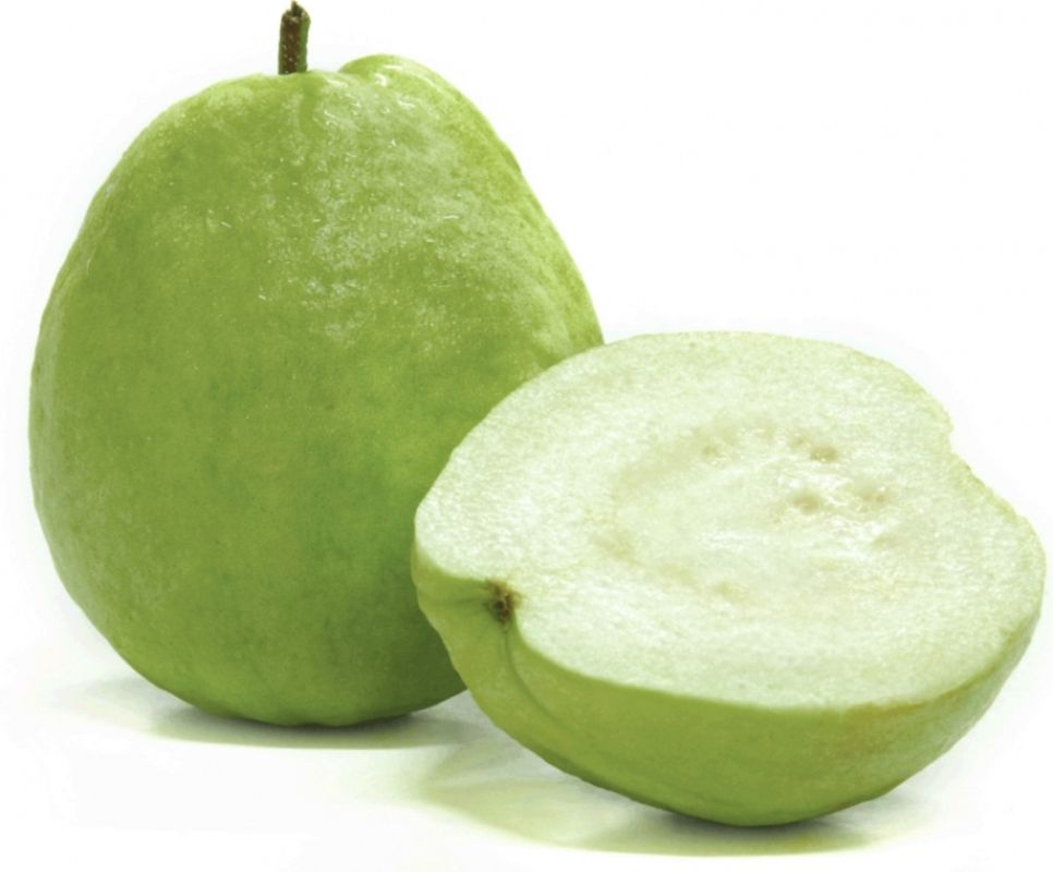 Thai Binh Guava "Ổi Bo"