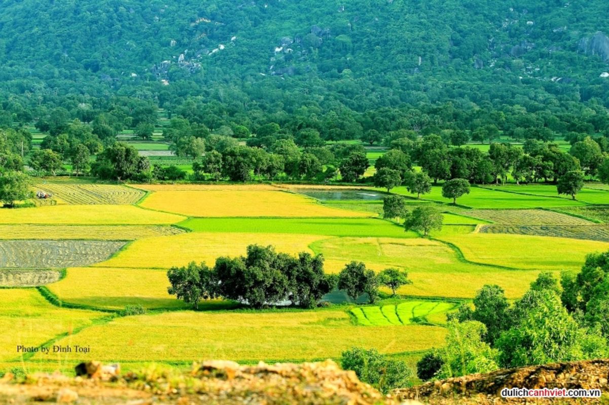 Experience An Giang Tours with sustainable adventures
