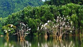 Start your Tra Vinh Travel with tranquil vistas