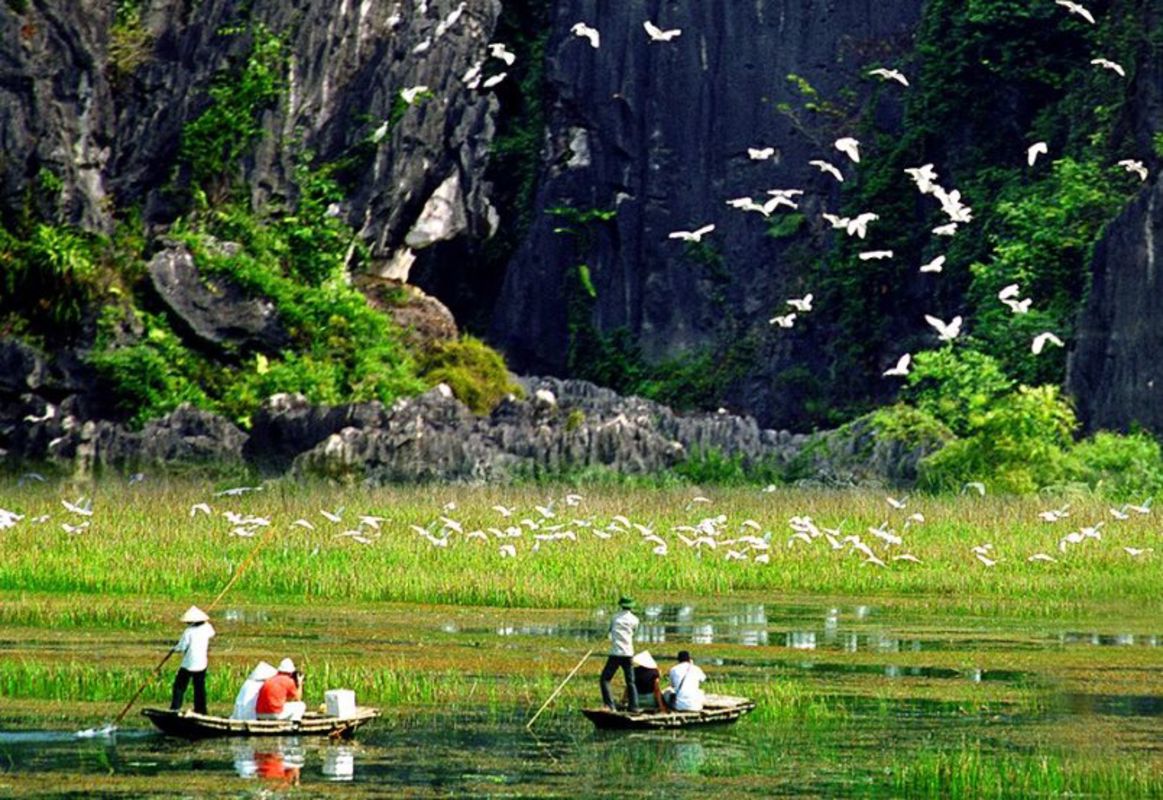 Dive into the wildlife charm of Ninh Binh Travel