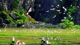Dive into the wildlife charm of Ninh Binh Travel