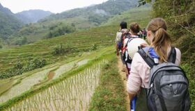 Dive into the adventurous charm of Phu Tho Travel