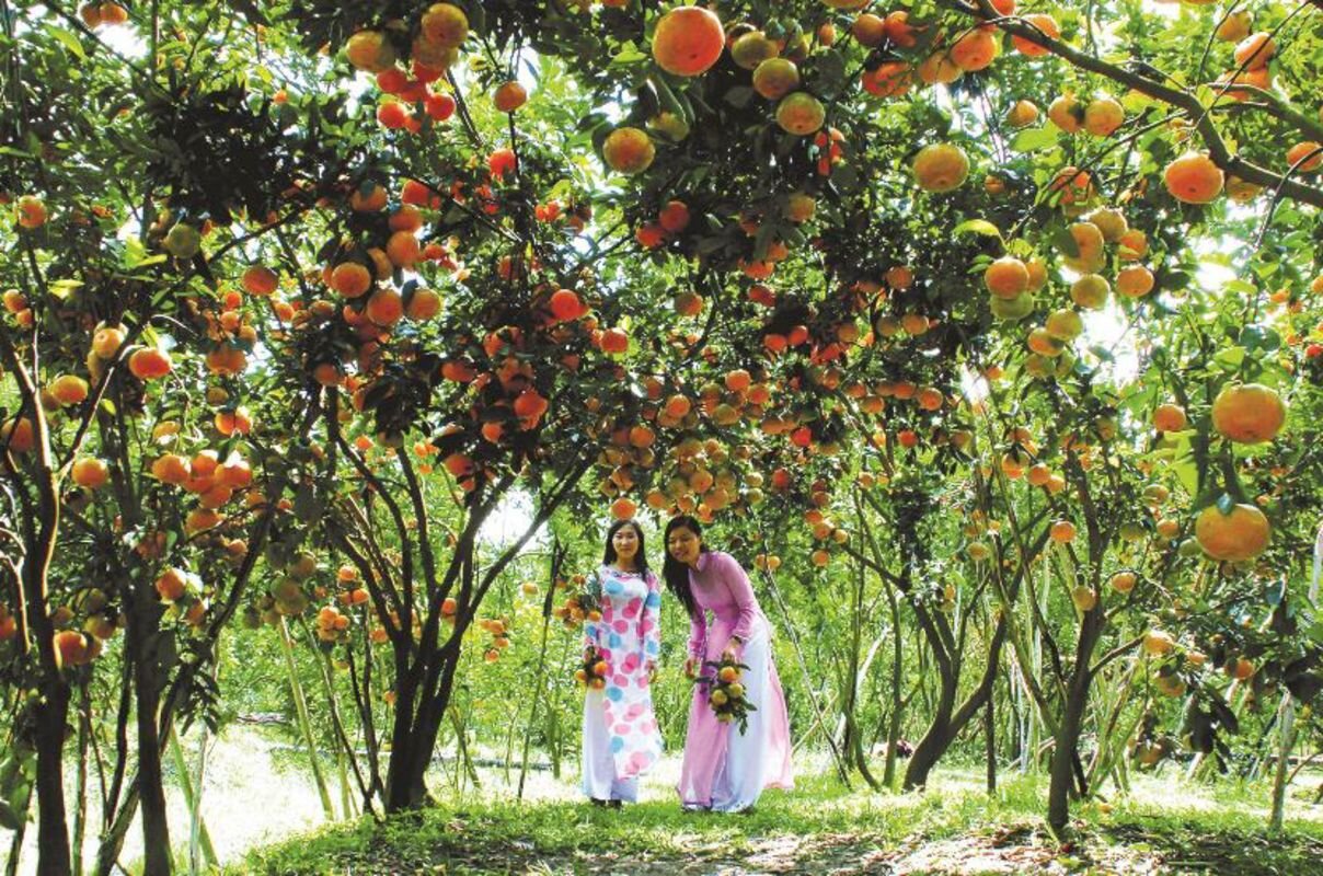 Begin your Can Tho Tours with a cultural adventure