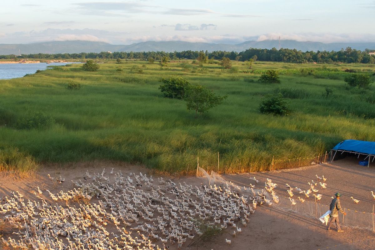 Capture the historic beauty of Phu Yen’s Cham heritage