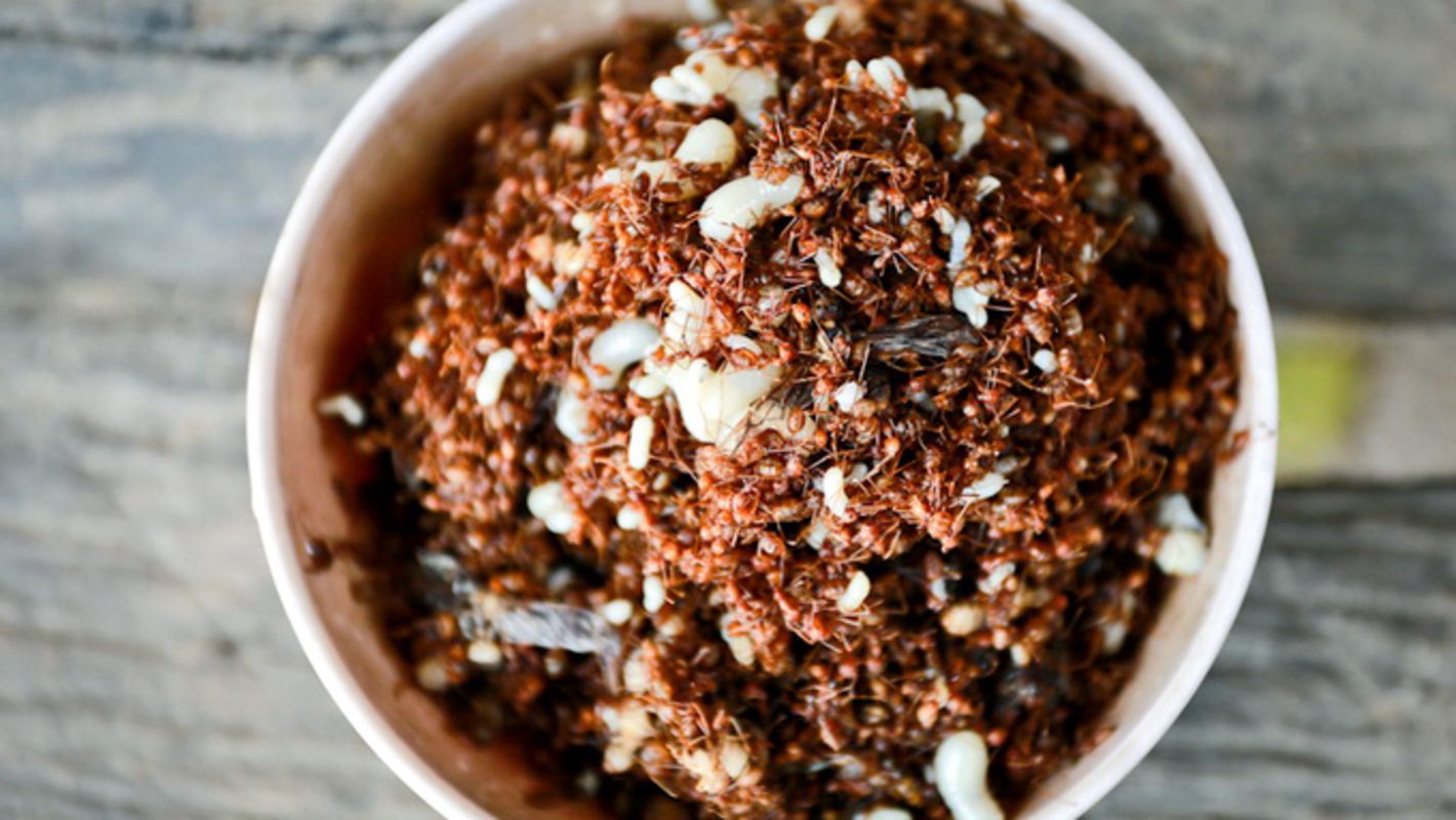 Photograph the vibrant allure of Dak Lak’s cuisine