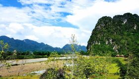 Dive into the vibrant flavors of Phu Tho Travel