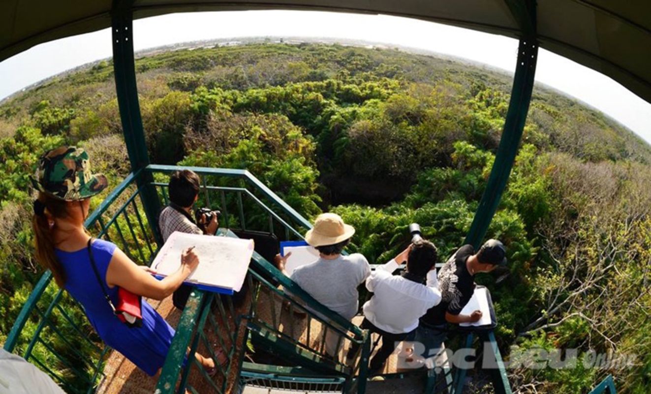 Capture the vibrant essence of Ca Mau’s eco-gem