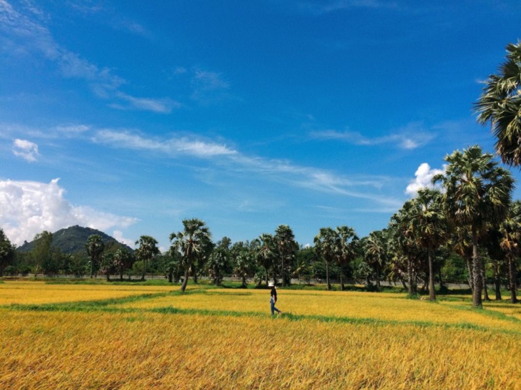 Capture the scenic beauty of An Giang’s cultural gem
