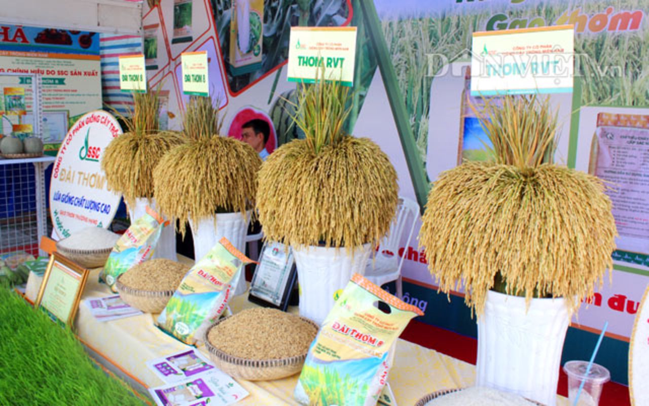 Capture the vibrant beauty of Long An’s agricultural gem