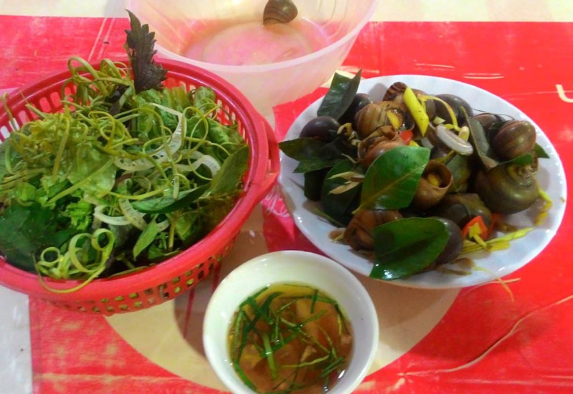 Experience Hanoi Tours with sustainable dining