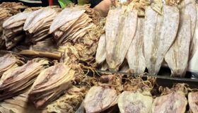 Capture the lively energy of Cat Ba’s culinary gem