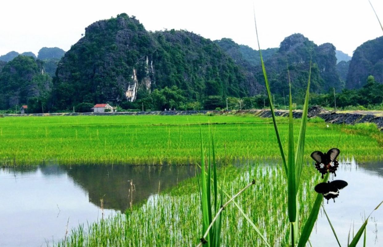 Dive into the cultural charm of Ninh Binh Travel