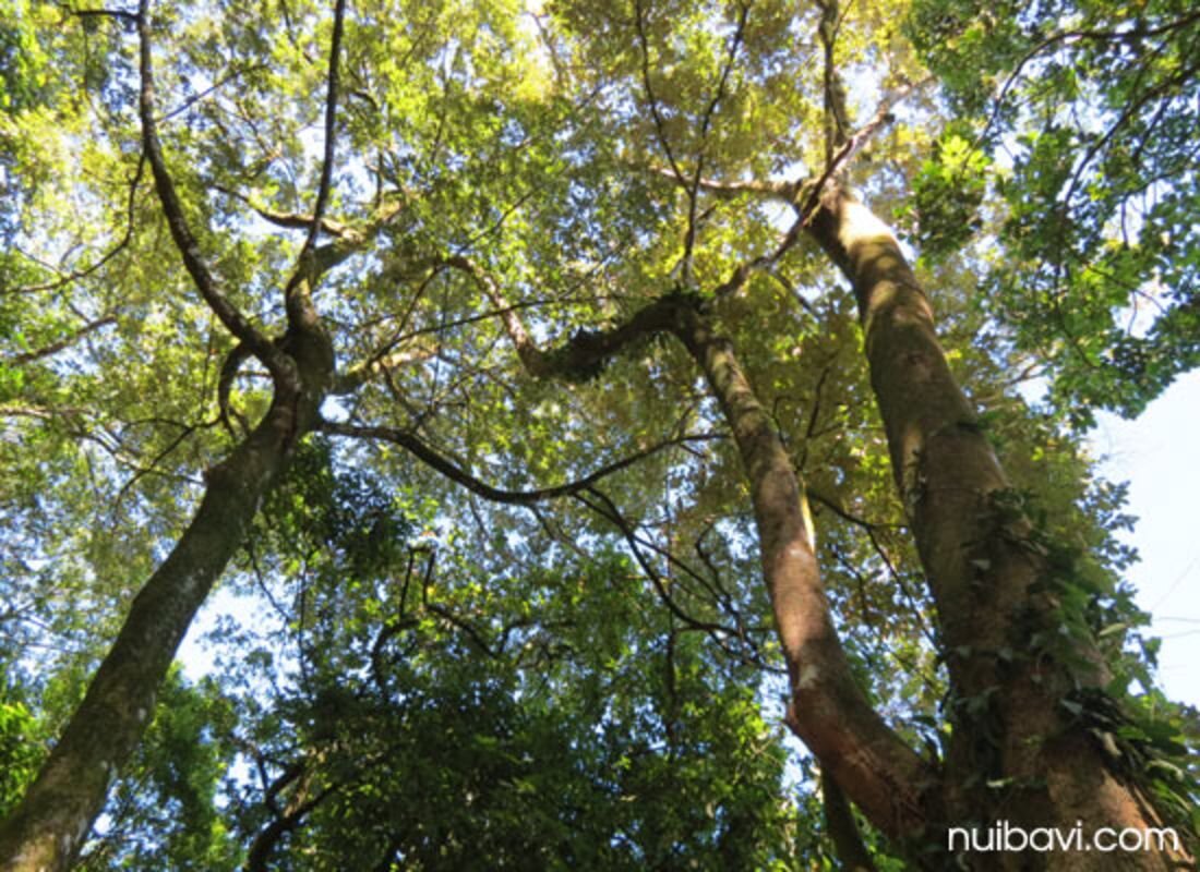 Capture the sustainable charm of Hanoi’s ecotourism