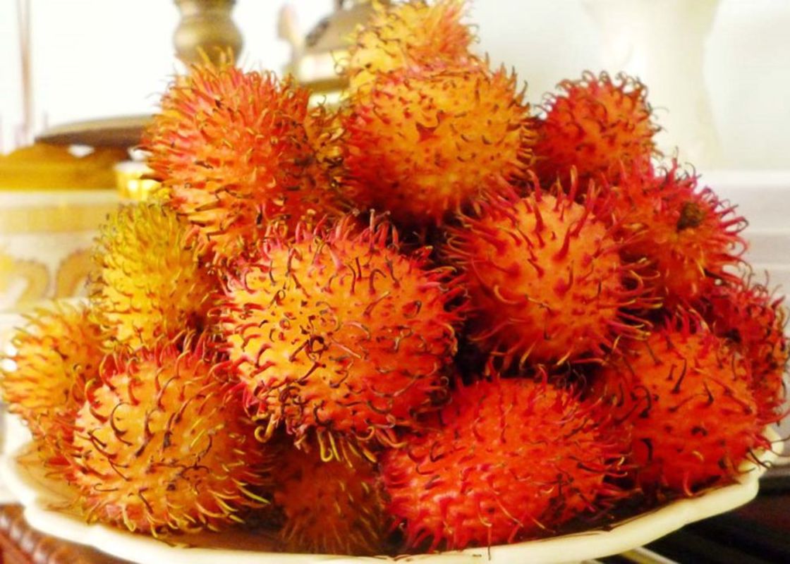 Photograph the tropical charm of Vinh Long’s heritage