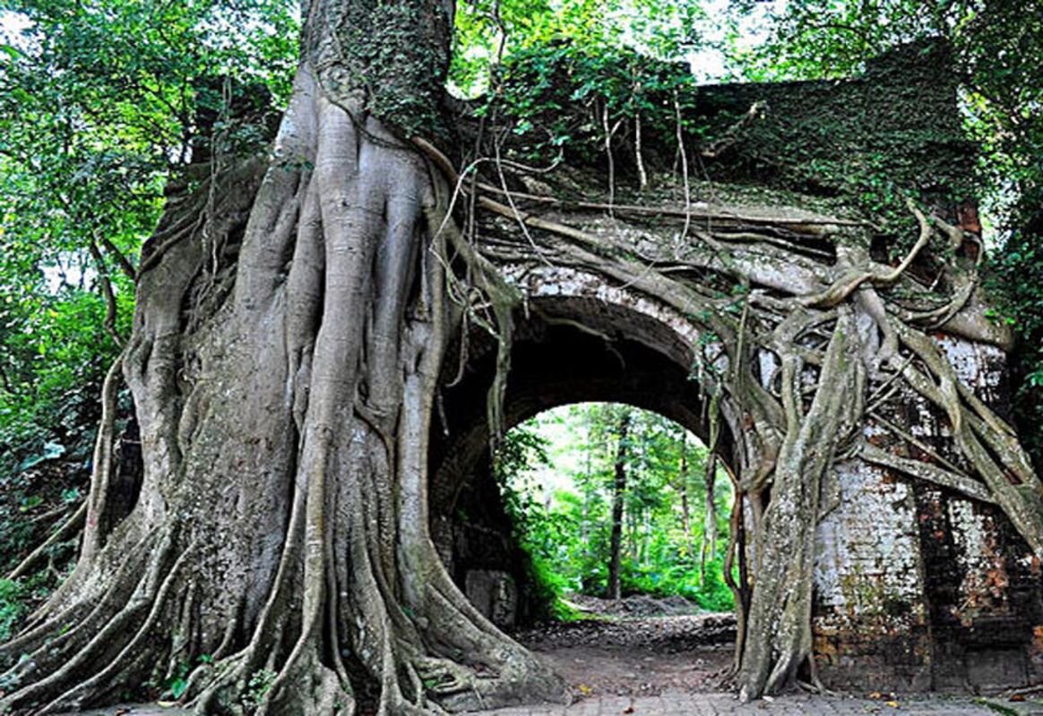 Experience Hanoi Tours with sustainable adventures