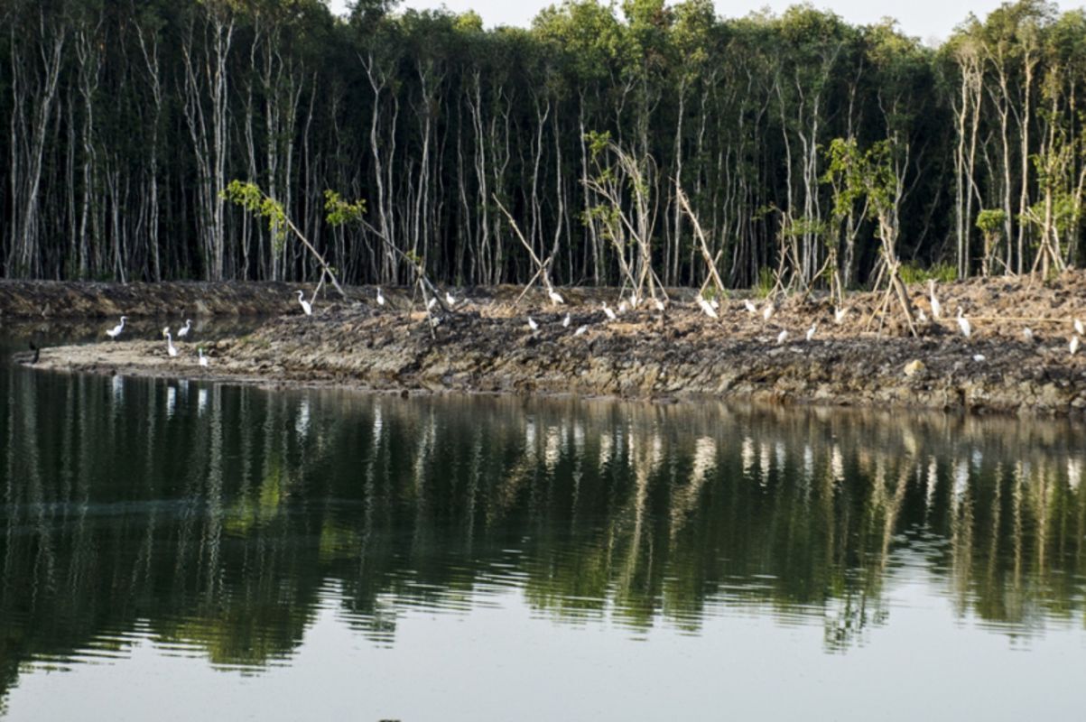 Photograph the natural allure of Long An’s Mekong Delta