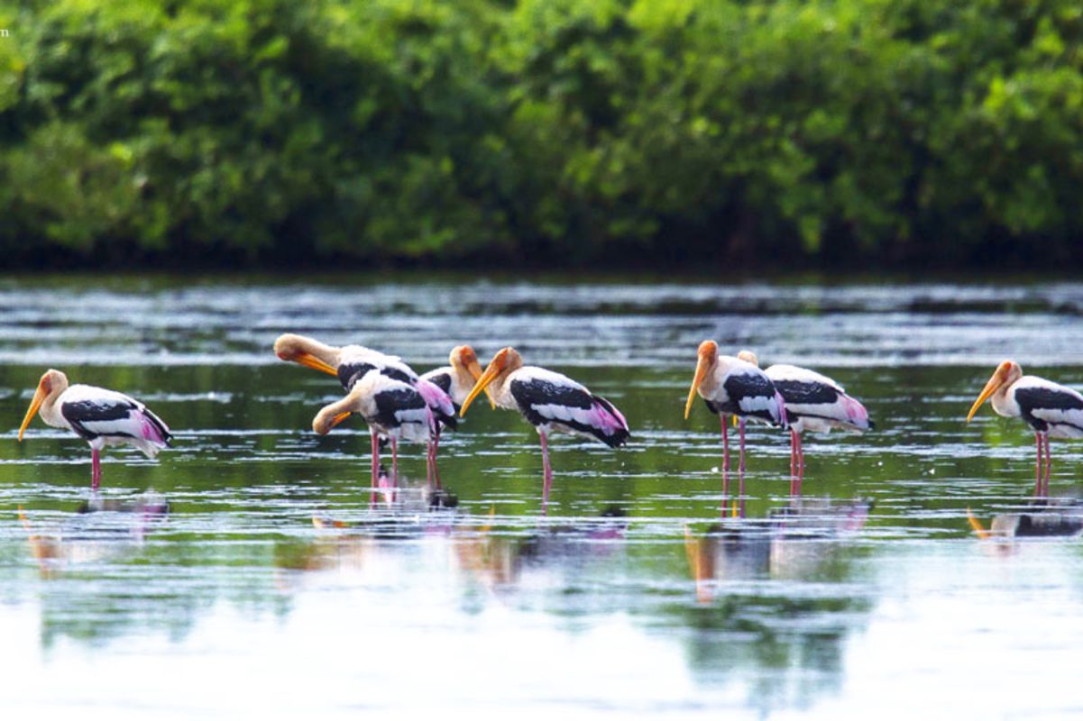 Seize the vibrant spirit of Ninh Binh Travel