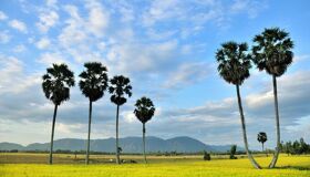 Start your An Giang Travel with tranquil vistas