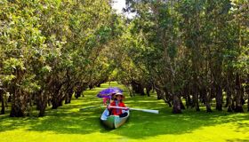 Capture the verdant beauty of Long An’s eco-tourism gem