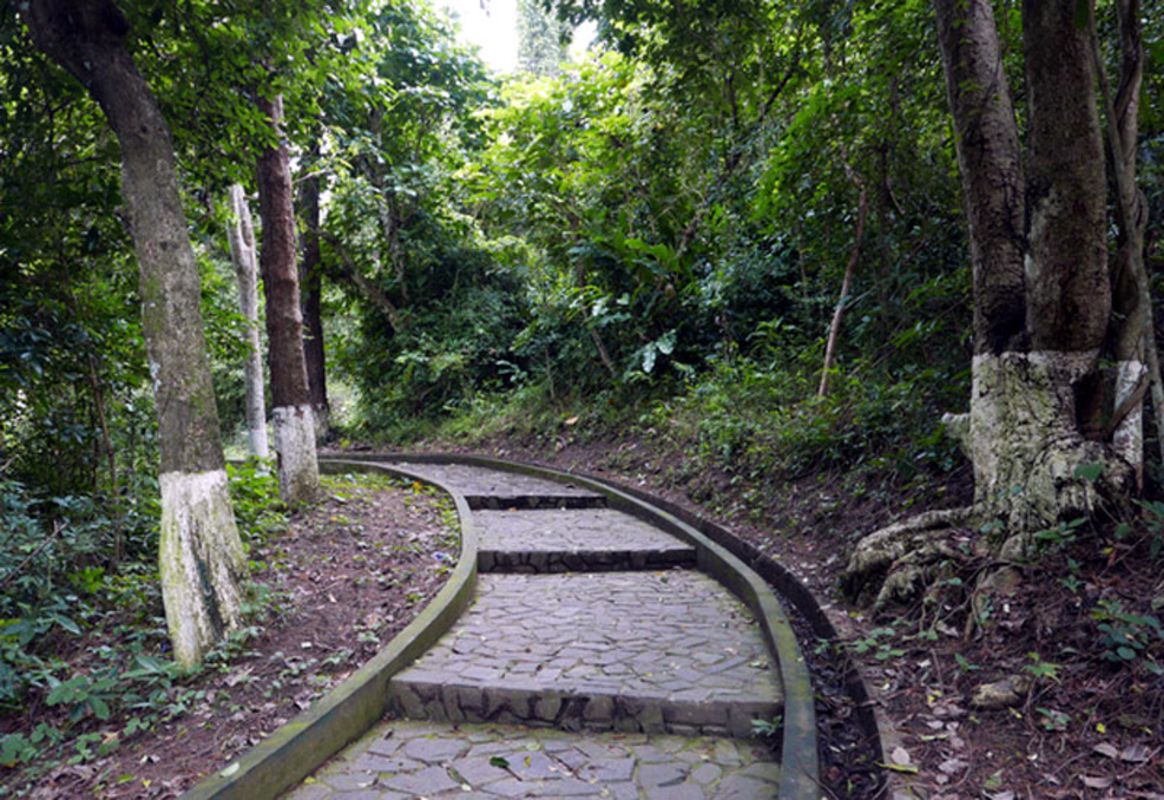 Begin your K9 Đá Chông Tours with a scenic adventure