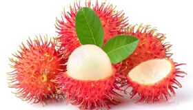 Dive into the juicy flavors of Vinh Long Travel