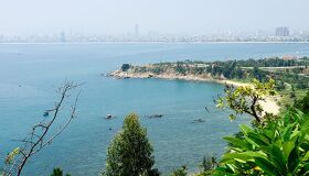 Capture the vibrant biodiversity of Da Nang’s eco-gem