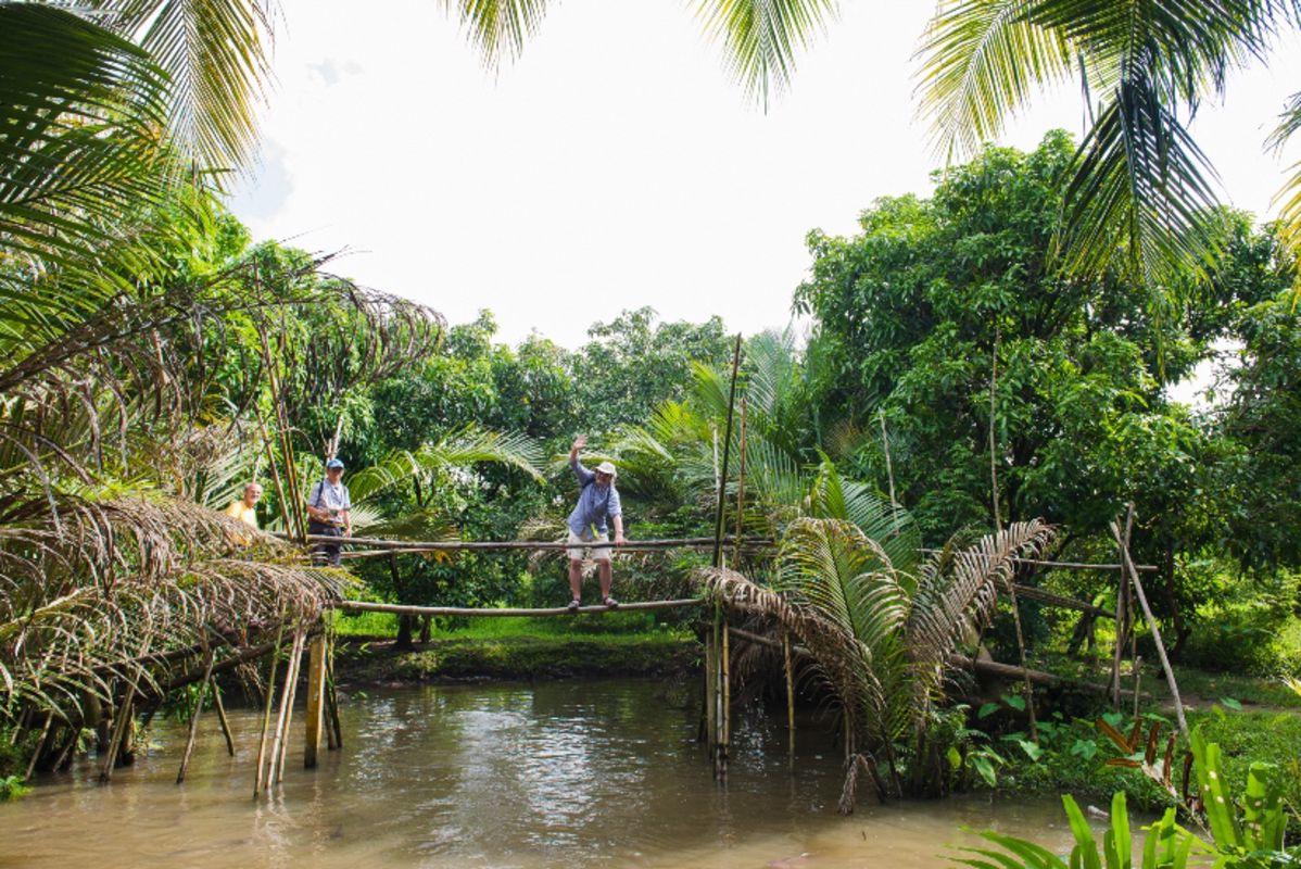 Capture the verdant beauty of Ben Tre’s coconut groves