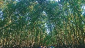 Dive into the tranquil charm of An Giang Travel