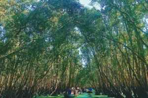Natural Wonders of An Giang: Chau Doc’s Top Eco-Attractions & Tours