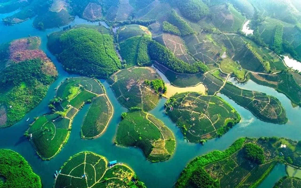 Photograph the authentic allure of Nghe An’s agriculture