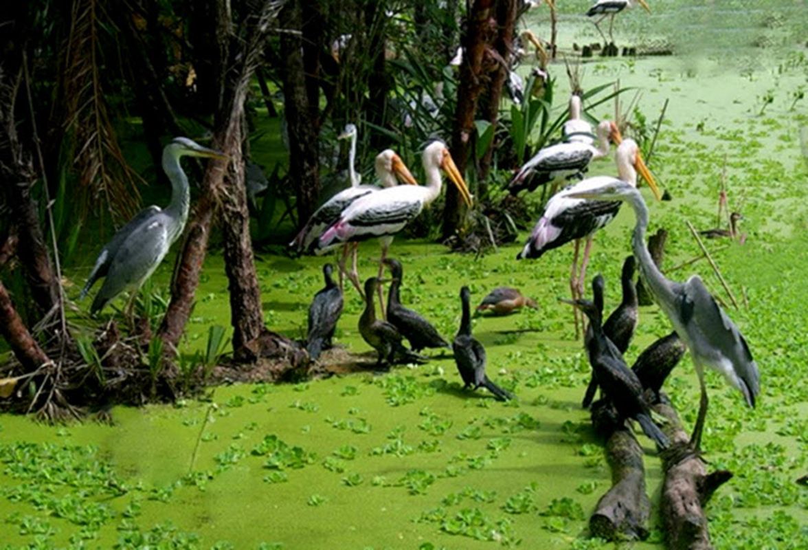 Learn An Giang’s cultural heritage with expert insights