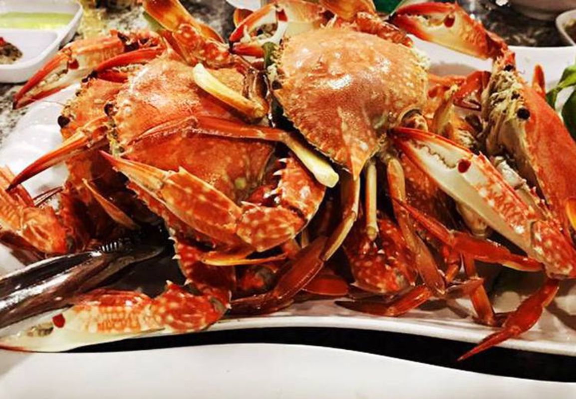 Crabs - Begin your Nghe An Tours with a scenic adventure
