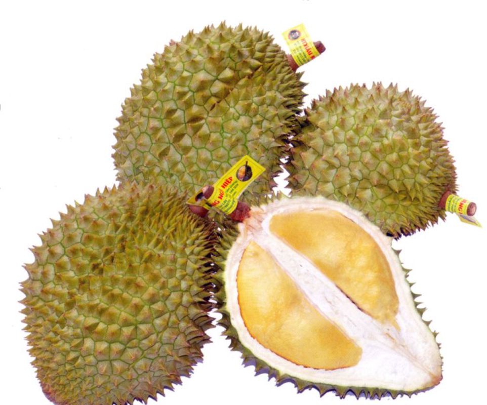 Ngu Hiep Durians