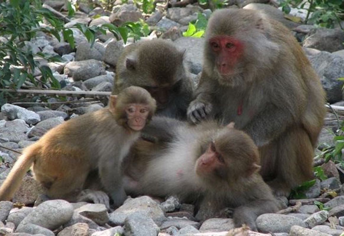Photograph the natural allure of Quang Ninh’s biodiversity