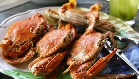 Capture the savory essence of Phu Quoc’s culinary gem