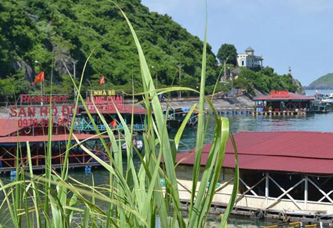 Experience Cat Ba Tours with sustainable adventures