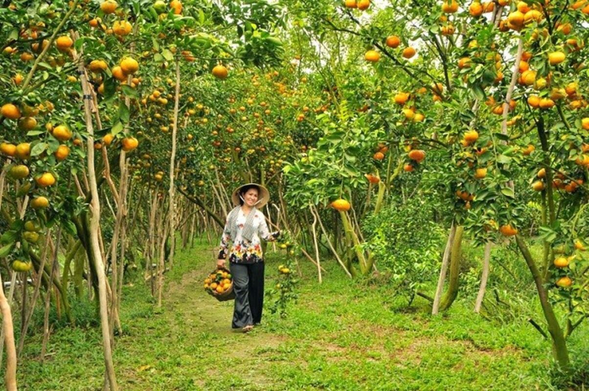 Start your Vinh Long Travel with tranquil vibes