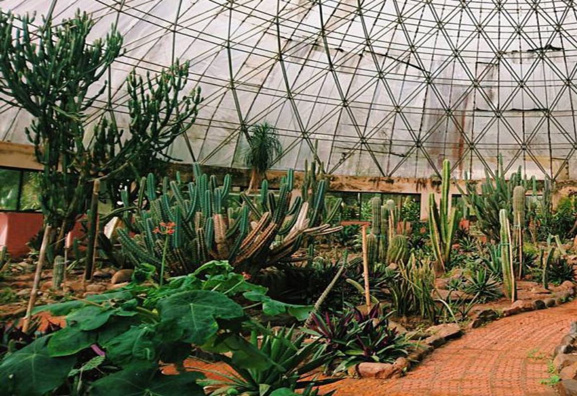 Capture the arid beauty of Hanoi’s botanical gem
