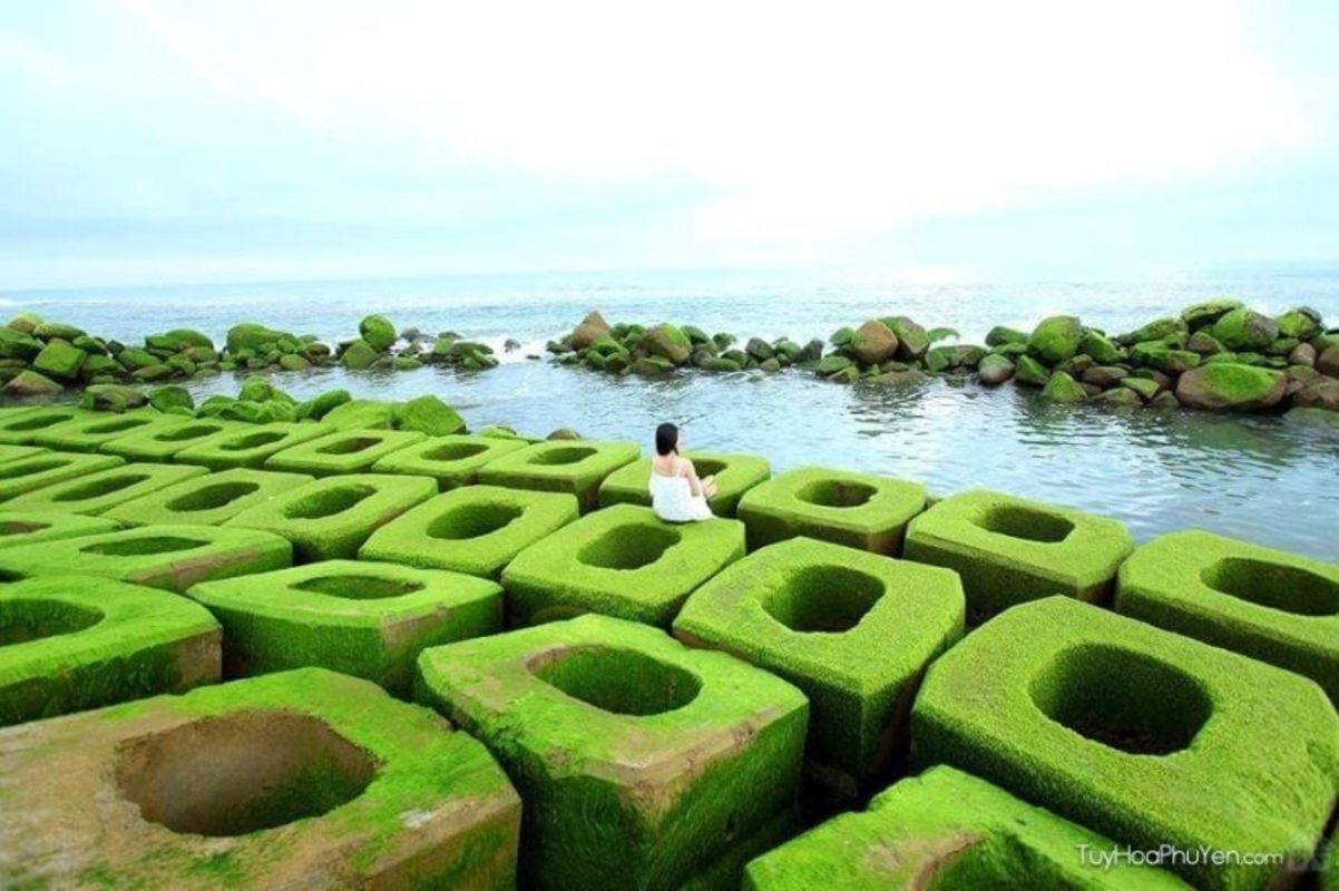 Learn Phu Yen’s cultural legacy with expert insights
