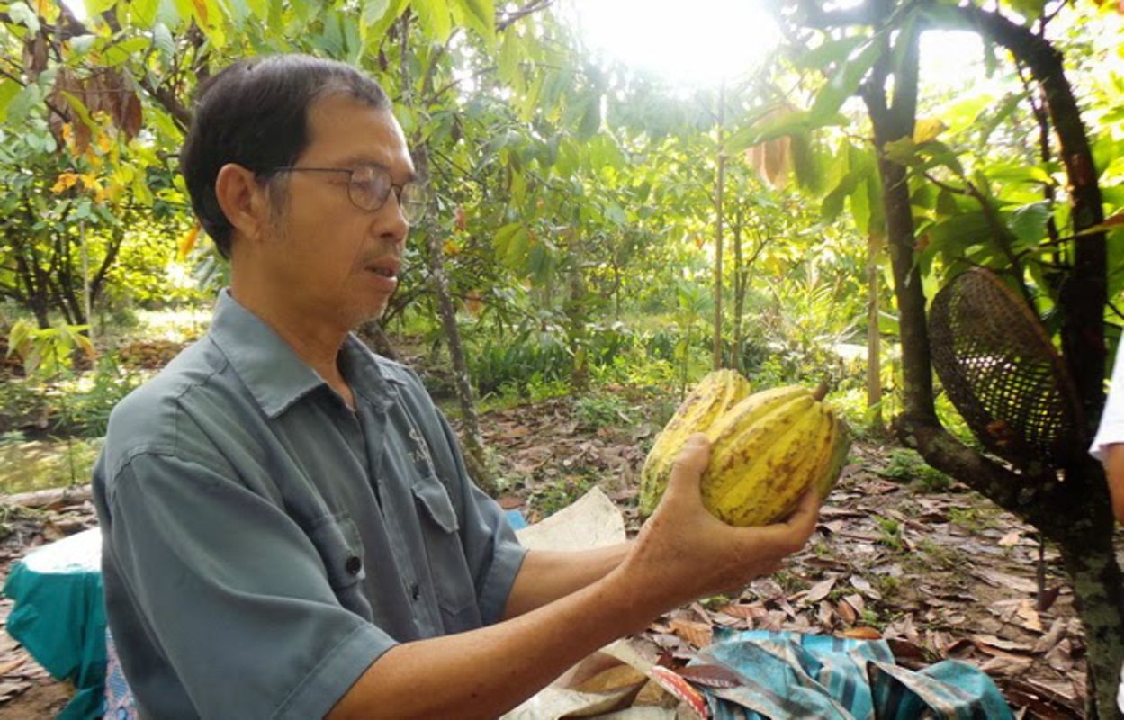 Experience Can Tho Tours with sustainable adventures
