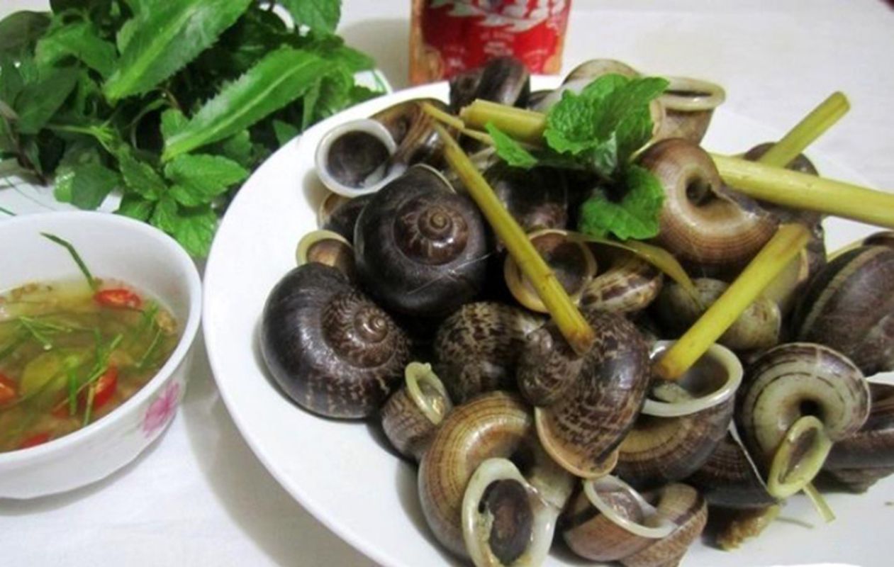 Experience Ninh Binh Tours with sustainable adventures
