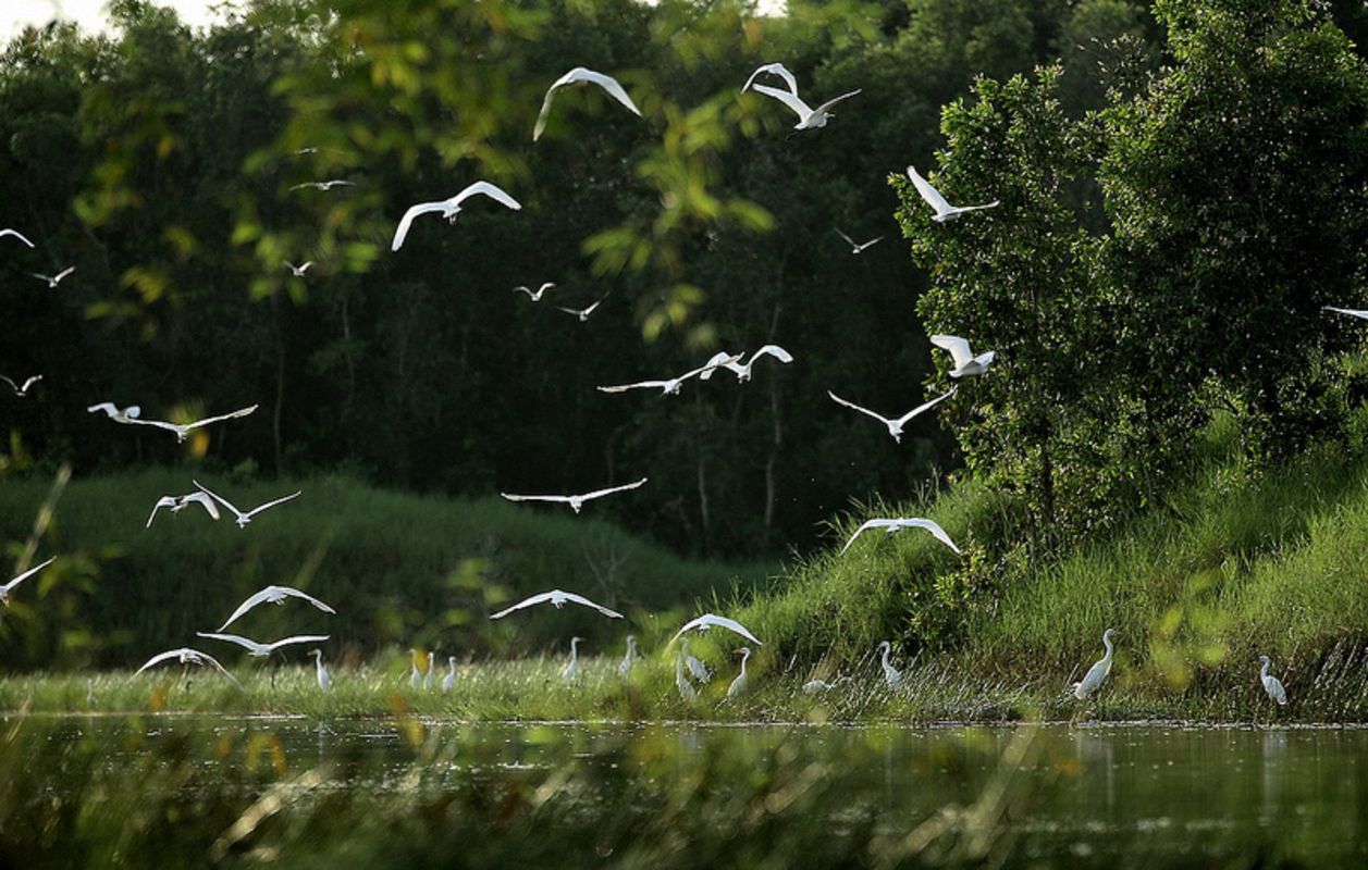 Start your Ca Mau Travel with tranquil vistas